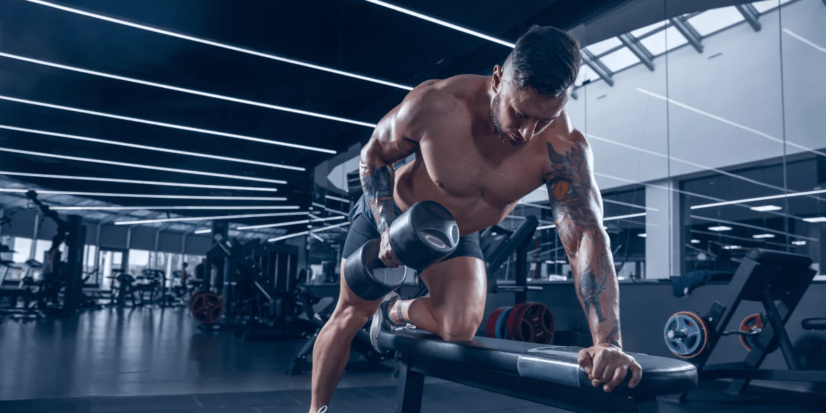 best-workout-routine-for-gym-beginners-295613