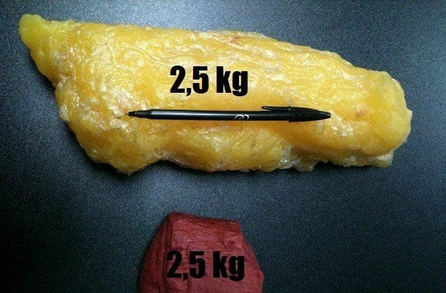 fat Comparison